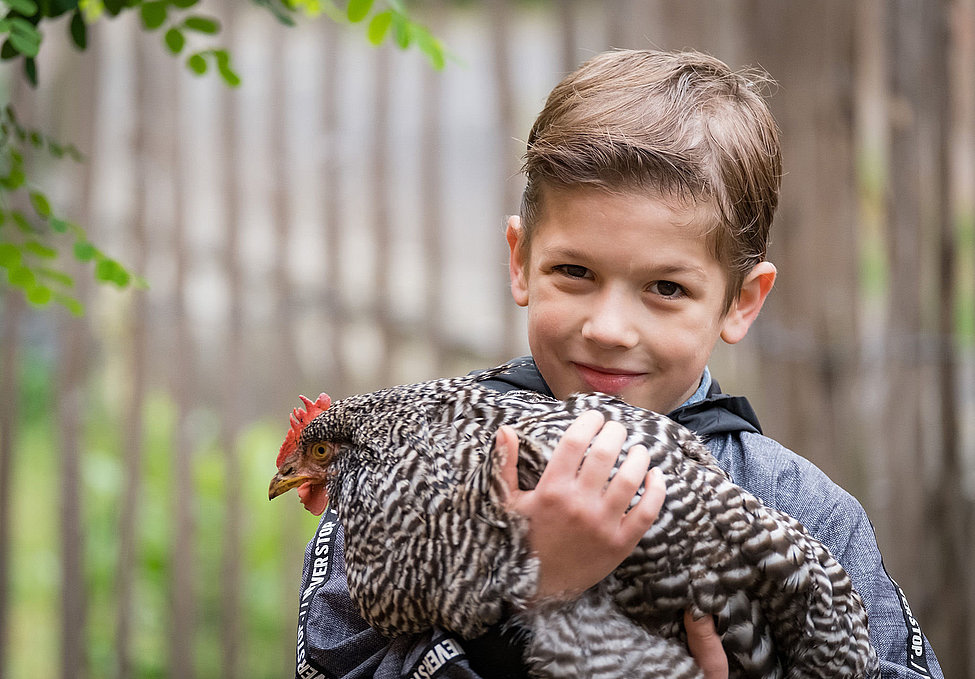 Kind hält schwarz-weiß gestreiftes Huhn